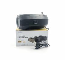 Блютуз-колонка PROFIT C10, MP3, Bluetooth, FM, 5Вт