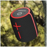 Колонка портативная Hopestar P25